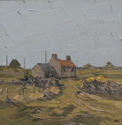 MARTIN LLEWELLYN - small holding